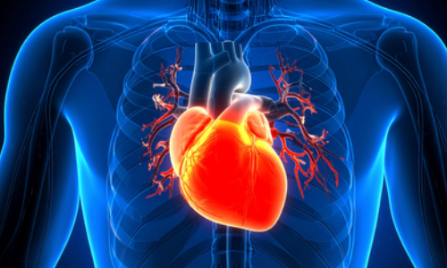 Long Covid patients more likely to suffer from unusual heart rhythm disorder