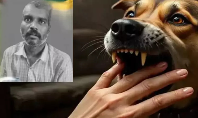 Months after dog bite, Tiruvannamalai farmer dies of rabies; third death in district this year Months after dog bite, Tiruvannamalai farmer dies of rabies; third death in district this year