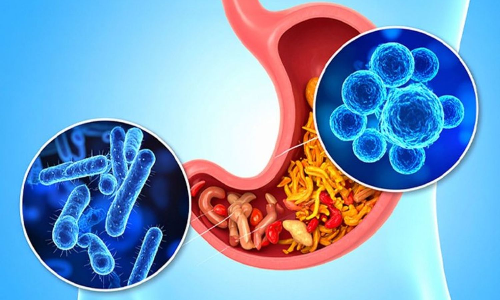 A healthier gut may help improve depression and anxiety, says study