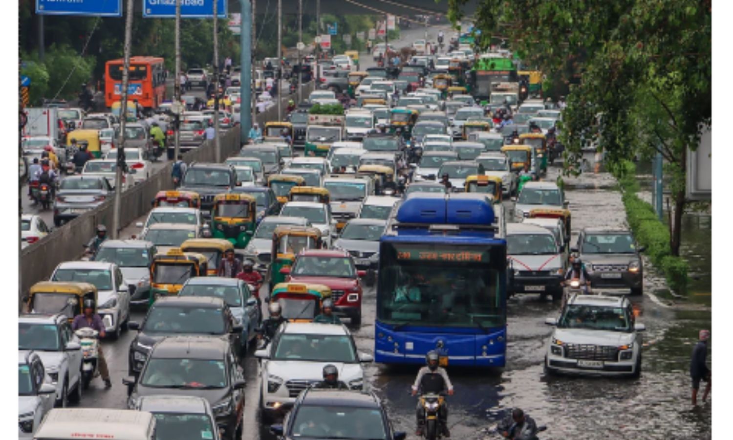 All public transport vehicles in Sikkim asked to prominently display slogan Be Kind to Animals