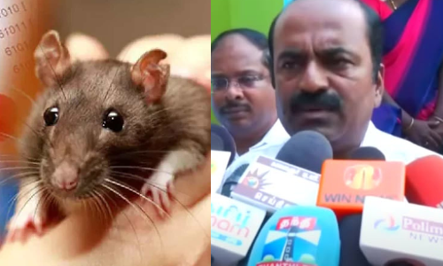 Students recovering; college campus being monitored: Tirunelveli District Collector on rat fever outbreak
