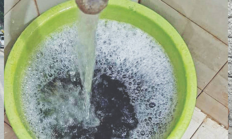 Chennai: Contaminated water, stray dogs disrupt life in Arumbakkam Chennai: Contaminated water, stray dogs disrupt life in Arumbakkam