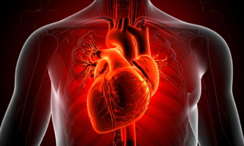 Heart disease, stroke and diabetes leading death and disability worldwide: The Lancet Heart disease, stroke and diabetes leading death and disability worldwide: The Lancet