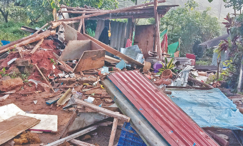 Elephant herd go on rampage in Valparai Elephant herd go on rampage in Valparai