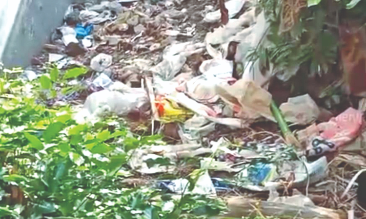 Chennai Citizen Connect: Illegal waste disposal torments Chitlapakkam residents