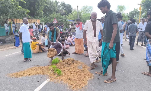 Tamil Nadu: Paddy starts to sprout due to procurement delay, farmers protest