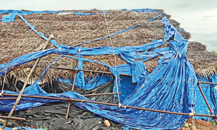 Heavy rains flood Adichanallur archaeological site, damage excavation pits