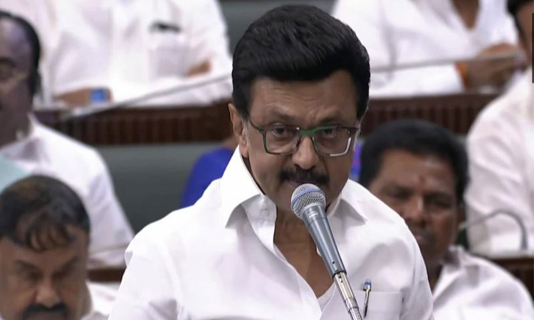 Tamil Nadu to form commission to curb honour killings, says CM Stalin