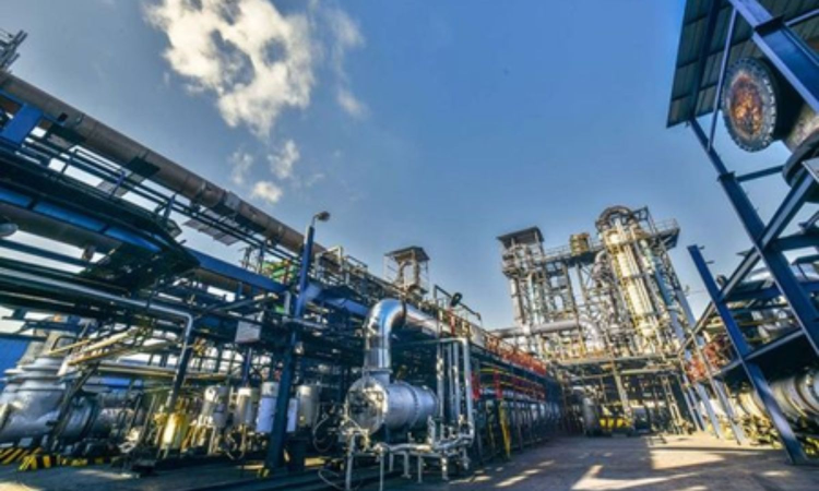 PCBL Chemical’s Q2 profit falls 50 pc to Rs 61.7 crore