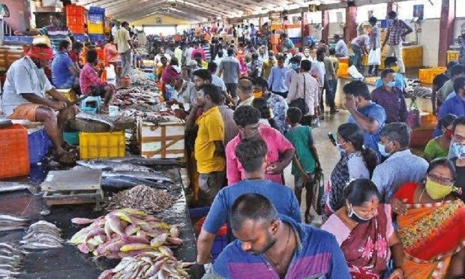 Chennai: Demand soars after Purattasi, fish price surges by Rs 100/kg