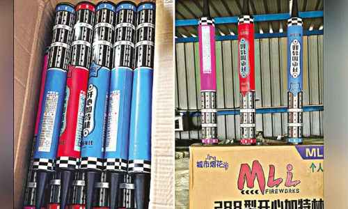 Tamil Nadu: 4 held for smuggling Chinese firecrackers via VOC Port