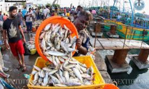 Lull in meat sale on first Sunday after Purattasi as many leave Chennai for hometowns, say traders