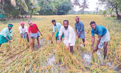 Nainar Nagenthran says Theni flooding manmade disaster