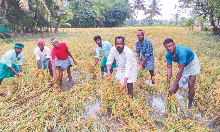 Nainar Nagenthran says Theni flooding manmade disaster