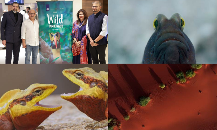 Docu sheds spotlight on unexplored wildlife of TN