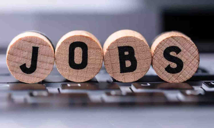 23K listings on TN govt’s private sector job portal