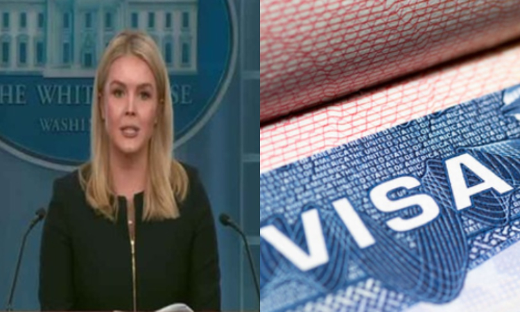 President Trump has ‘nuanced and commonsense opinion’ on H-1B visas: White House