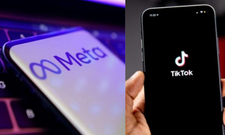 EU accuses Meta, TikTok of breaching transparency rules EU accuses Meta, TikTok of breaching transparency rules