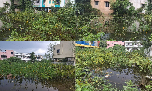 Mosquitoes in Tambaram, surrounding areas keep residents awake at night