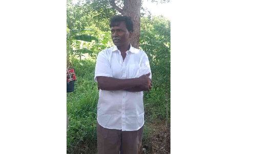 Tamil Nadu: Farmer held for poisoning over 50 peacocks