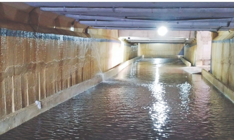 Perambur Loco subway slips back into disrepair just 5 months after restoration Perambur Loco subway slips back into disrepair just 5 months after restoration