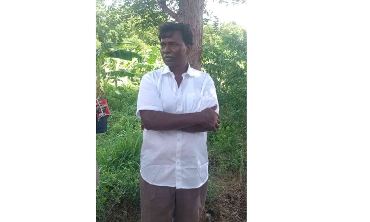 Tamil Nadu: Farmer held for poisoning over 50 peacocks