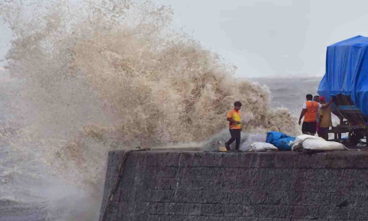 Cyclone Montha: Andhra govt prepares action plan for relief, essential supplies Cyclone Montha: Andhra govt prepares action plan for relief, essential supplies