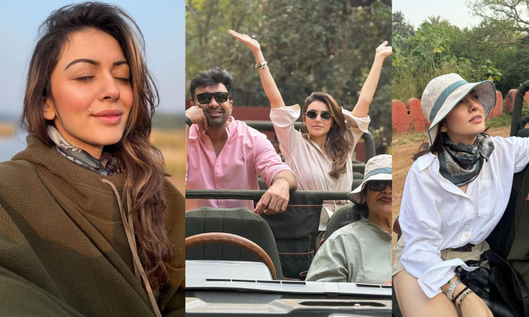 Hansika Motwannis Ranthambore trip includes tiger trails, jungle dust & selfies