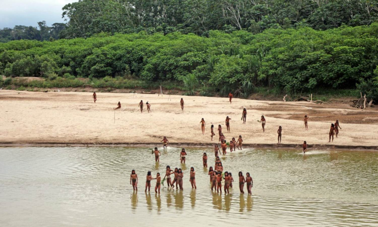 Silent genocides: Uncontacted tribes on brink of extinction, warns report Silent genocides: Uncontacted tribes on brink of extinction, warns report