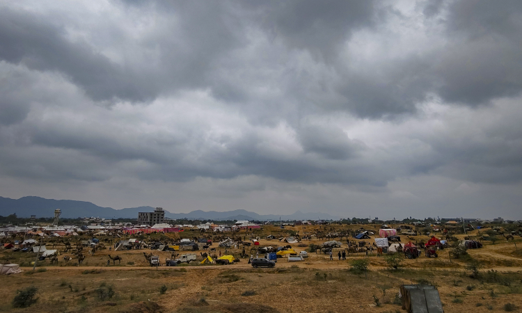 Buffalos price Rs 23 crore, Rs 15 crore for a horse! Rajasthans Pushkar Fair sees record prices