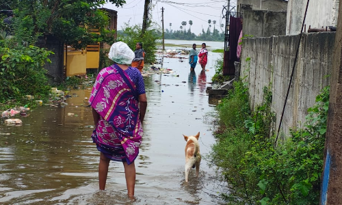 Perennial waterlogging rankles residents of Nathamedu in Tiruvallur Perennial waterlogging rankles residents of Nathamedu in Tiruvallur