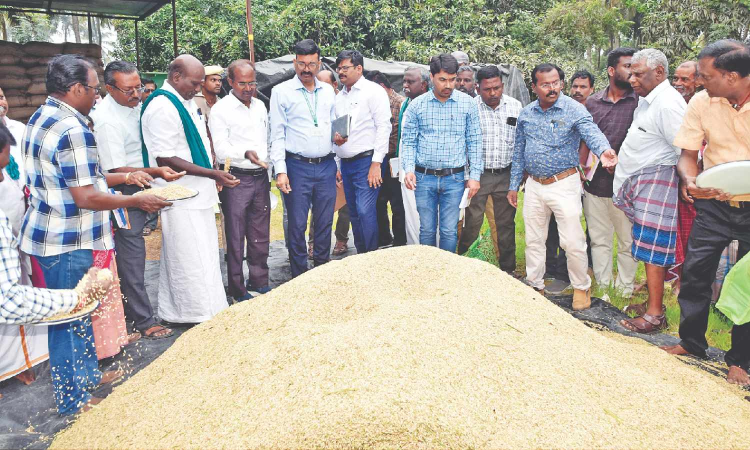 Delta ryots seek separate procurement policy