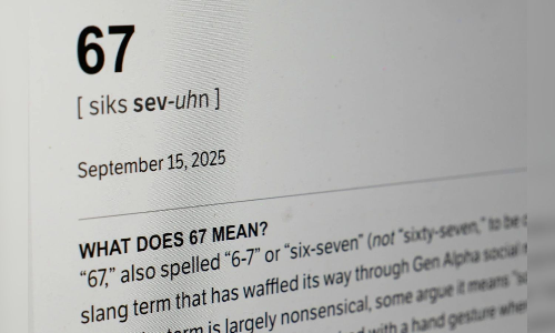 Maybe this, maybe what: What does word of the year 6-7 mean?