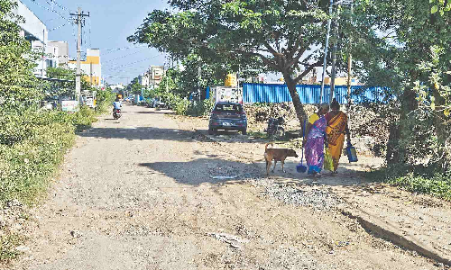 Chennai Citizen Connect: Andal Kovil Road in Puthagaram in poor state, say irked residents