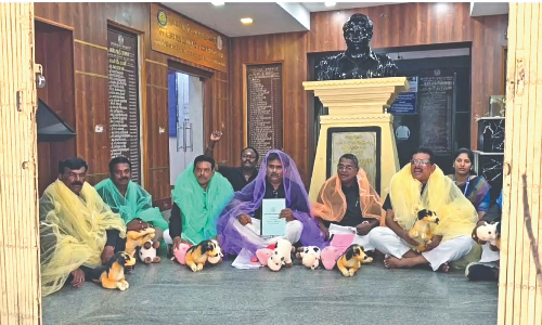 AIADMK councillors attend Tambaram Corpn meeting, draped in mosquito nets