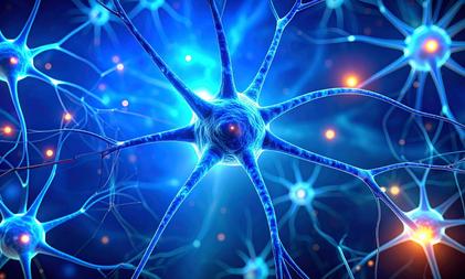 Dark chocolate, berries may help boost memory and relieve stress: Study Dark chocolate, berries may help boost memory and relieve stress: Study