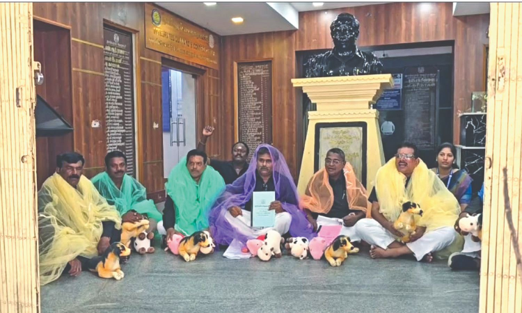 AIADMK councillors attend Tambaram Corpn meeting, draped in mosquito nets