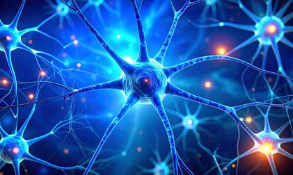 Dark chocolate, berries may help boost memory and relieve stress: Study Dark chocolate, berries may help boost memory and relieve stress: Study