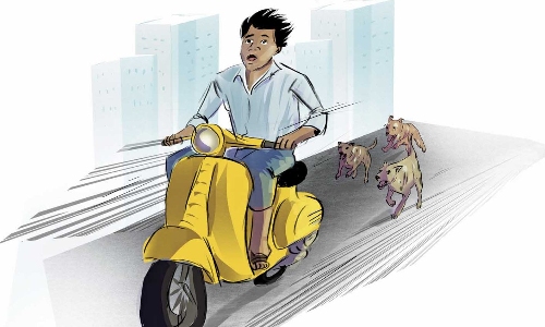 Dog menace continues to irk Chennai residents