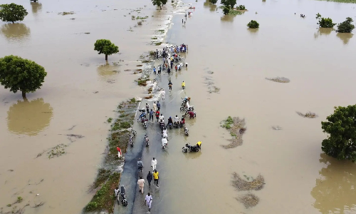 Global turning point: COP30 must turn promises into action