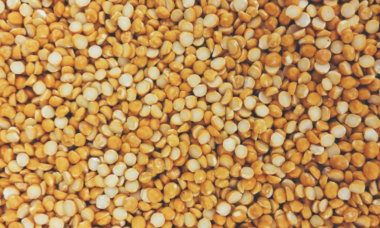 Import duty on yellow peas will facilitate better market price: Madurai traders Import duty on yellow peas will facilitate better market price: Madurai traders