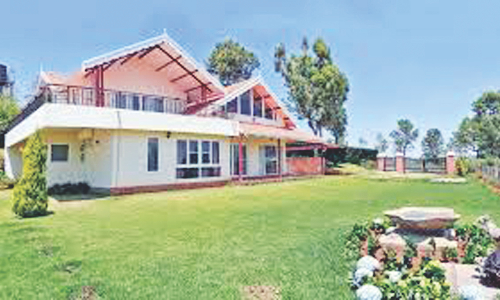 Nilgiris tea estates not realty hotspots: Ex-bureaucrat flags violations