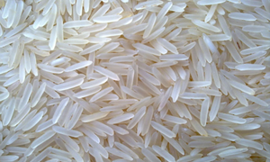 India exports 20 tonnes of fortified rice to Papua New Guinea India exports 20 tonnes of fortified rice to Papua New Guinea