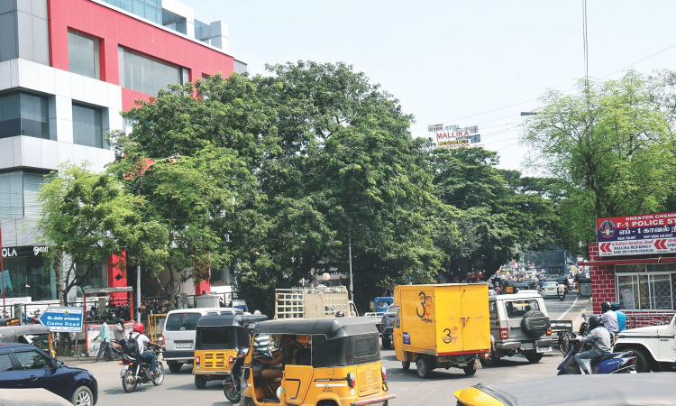 Lack of traffic signal makes Casino Theatre junction a nightmare to navigate