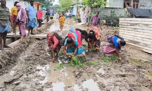 Kancheepuram residents protest by planting saplings on neglected road Kancheepuram residents protest by planting saplings on neglected road