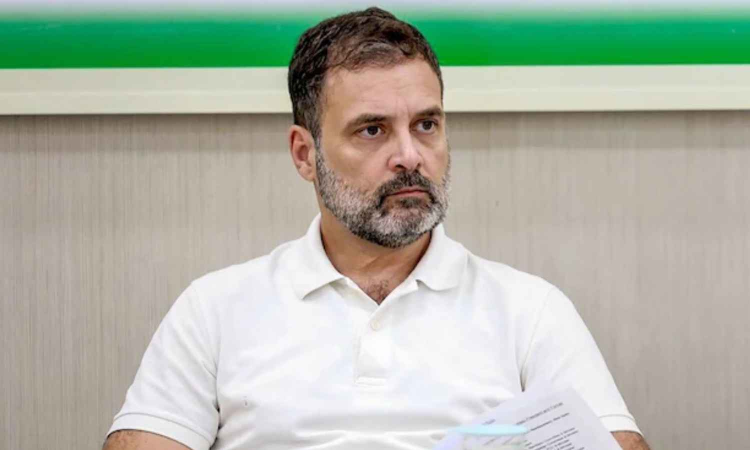 Pets not allowed outside but inside: Rahul amid row over bringing dog in Parliament