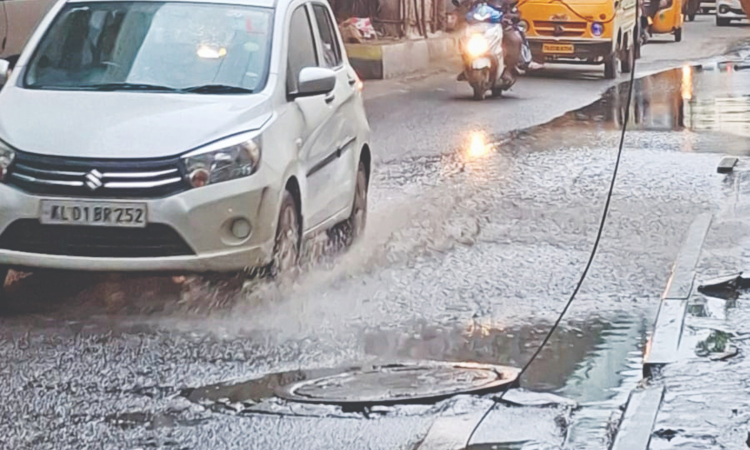 Years of stagnating sewage near Mahalingapuram flyover leaves Kodambakkam residents fuming