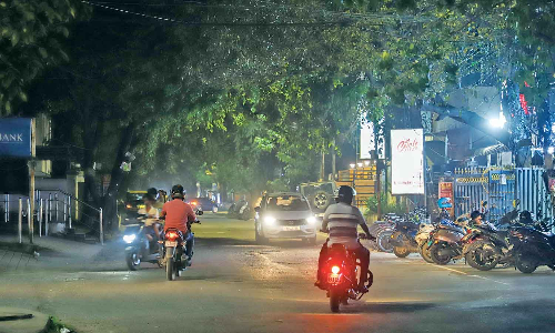 Tree pruning in focus as branches eclipse Chennai’s streetlights