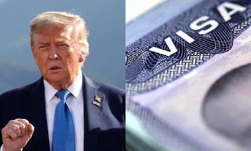 US has to bring in talent from around the world: President Trump on H-1B visa