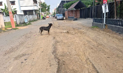 Chennai Citizen Connect: Complete road repair works before next spell, urge Puthagaram locals Chennai Citizen Connect: Complete road repair works before next spell, urge Puthagaram locals
